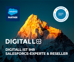 Auf diesem Banner ist ein großer Berg in der Abendsonne zu sehen. Links ein Button mit dem Namen: Salesforce Partner, Rechst ist das BBG Partner-Siegel abgebildet. Unterhalb der Bergspitze steht geschrieben: Digutall88 in großen Lettern. Darunter dann: Digitall ist Ihr Sa-lesforce-Experte & Reseller.