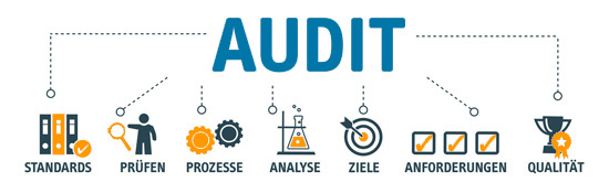 Von Audit gehen Linien zu den Begriffen Standrads, Prüfen, Prozesse, Analyse, Ziele, Anforderungen und Qualität