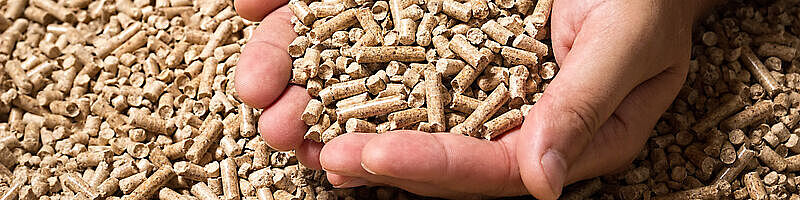 Eine Hand voll mit Holzpellets