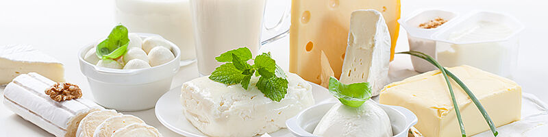 Verscheiden Molkereiprodukte wie Käse, Milch oder Butter