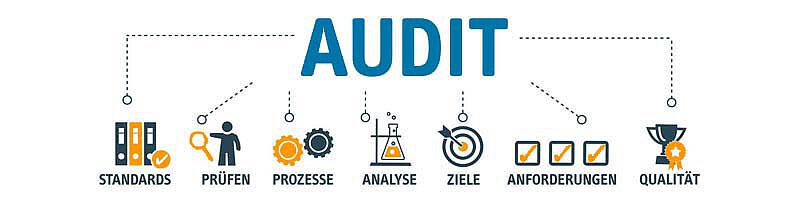 Von Audit gehen Linien zu den Begriffen Standrads, Prüfen, Prozesse, Analyse, Ziele, Anforderungen und Qualität